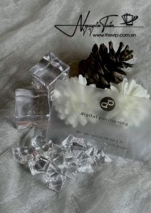 Danh thiếp nhựa PVC trong