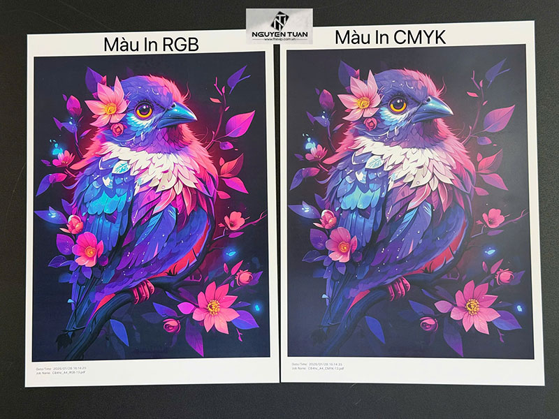 RGB vs CMYK – Vì sao file đẹp nhưng in ra lại "xỉn màu"?